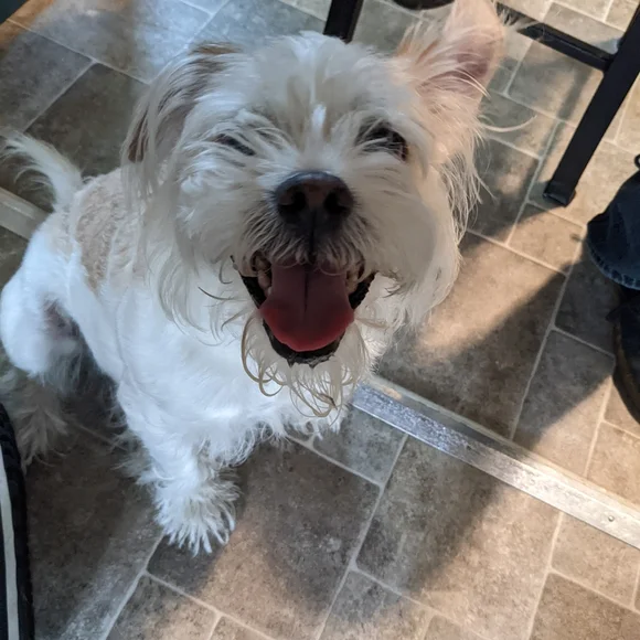 Smile! Treat yourself!🌛🌌🌃🫶💜💖💕❤️ - Picture 3 of 12